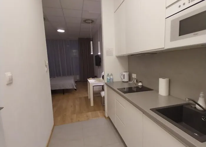 Appartamento Zlatarooms 211